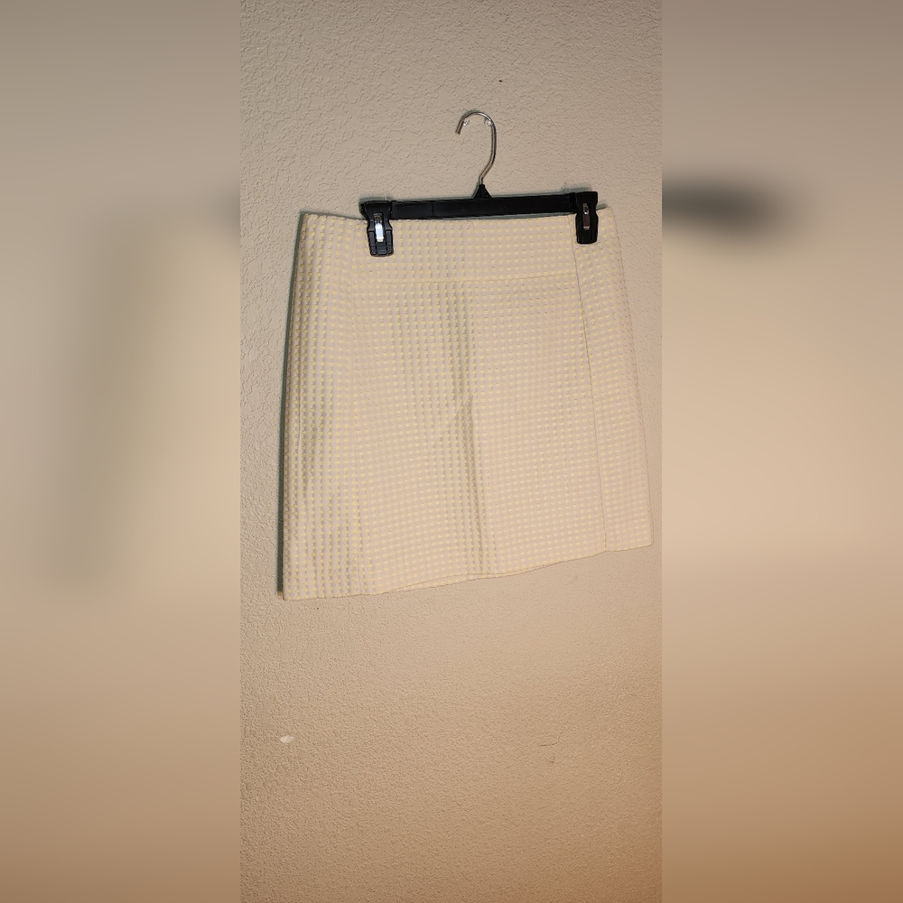 Ann Taylor Loft Skirt